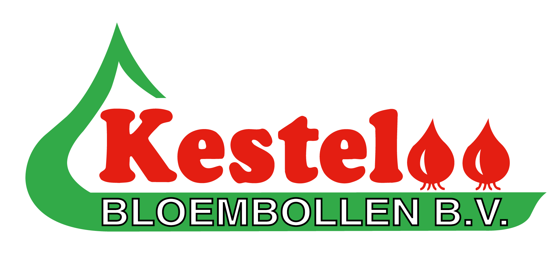 KESTELOO BLOEMBOLLEN